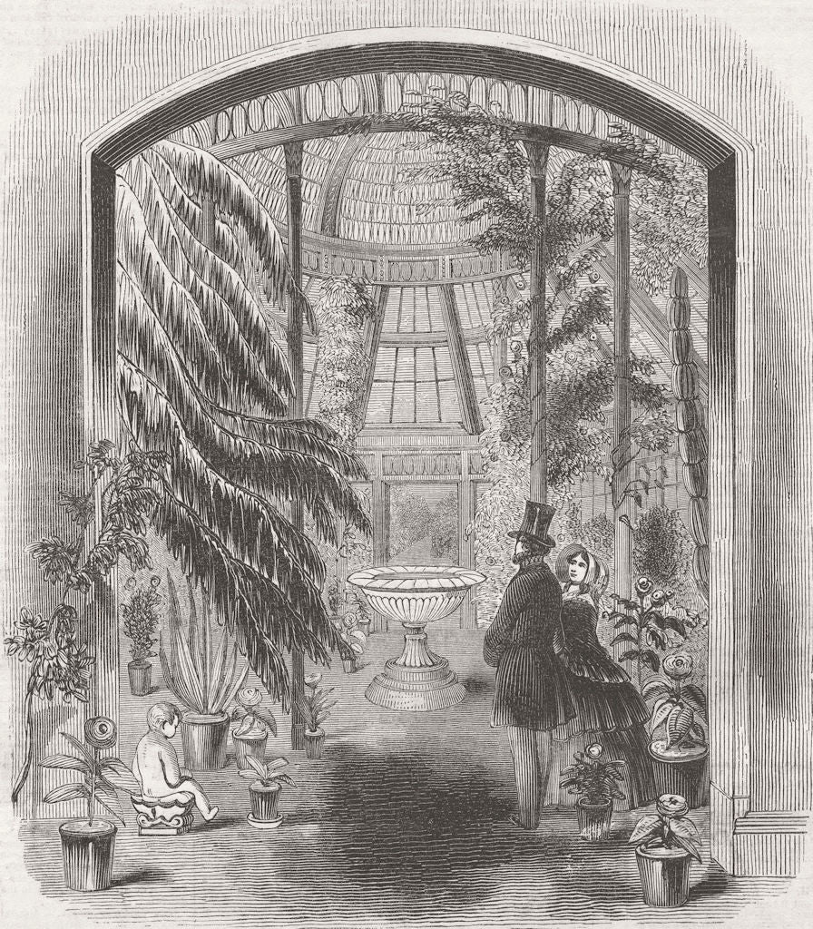 LONDON. Central Pavilion of Conservatory, Chiswick 1846 old antique print